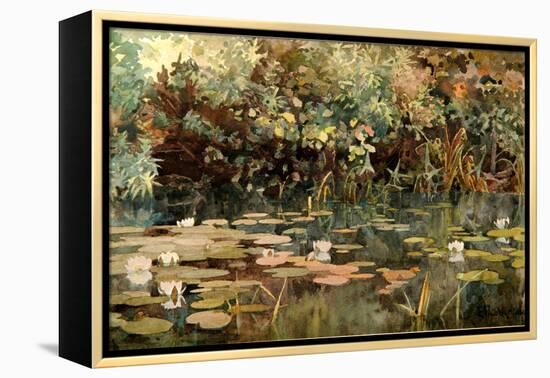 Pond with Water Lilies, Early 1890s-Elena Dmitryevna Polenova-Framed Premier Image Canvas