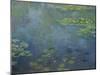 Pond with Water Lilies-Claude Monet-Mounted Giclee Print