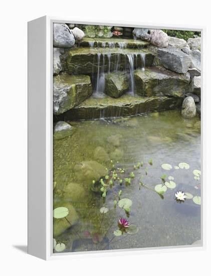 Pond with Waterfall-null-Framed Premier Image Canvas