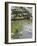 Pond with Waterfall-null-Framed Photographic Print