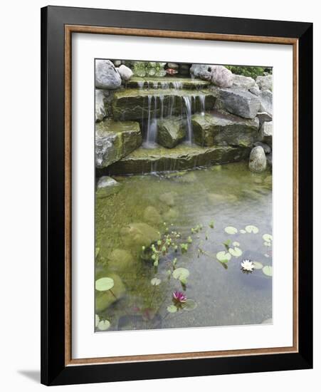 Pond with Waterfall-null-Framed Photographic Print