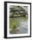 Pond with Waterfall-null-Framed Photographic Print