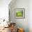 Pond-Marcin Sobas-Framed Photographic Print displayed on a wall