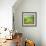 Pond-Marcin Sobas-Framed Photographic Print displayed on a wall