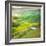 Pond-Marcin Sobas-Framed Photographic Print