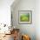 Pond-Marcin Sobas-Framed Photographic Print displayed on a wall