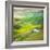 Pond-Marcin Sobas-Framed Photographic Print