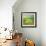 Pond-Marcin Sobas-Framed Photographic Print displayed on a wall