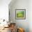 Pond-Marcin Sobas-Framed Photographic Print displayed on a wall