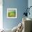 Pond-Marcin Sobas-Framed Photographic Print displayed on a wall