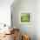 Pond-Marcin Sobas-Framed Photographic Print displayed on a wall