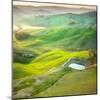 Pond-Marcin Sobas-Mounted Photographic Print