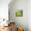 Pond-Marcin Sobas-Mounted Photographic Print displayed on a wall