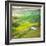 Pond-Marcin Sobas-Framed Photographic Print