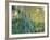 Pond-Anna Miller-Framed Photographic Print