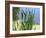 Pond-Anna Miller-Framed Photographic Print