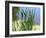 Pond-Anna Miller-Framed Photographic Print