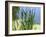 Pond-Anna Miller-Framed Photographic Print