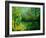 Pond-Pol Ledent-Framed Art Print