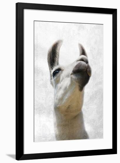 Pondering Llama-Marcus Prime-Framed Photographic Print