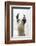 Pondering Llama-Marcus Prime-Framed Photographic Print