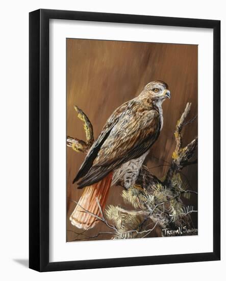 Ponderosa Hunter-Trevor V. Swanson-Framed Giclee Print