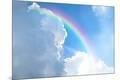 Premium Photographic Print