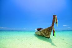 Hedgehog Isolated-Pongphan Ruengchai-Photographic Print