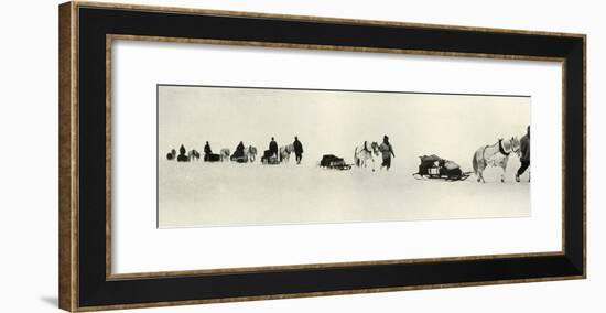 'Ponies on the March', 1911, (1913)-Frank Debenham-Framed Photographic Print