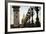 Pont Alexandre II-Erin Berzel-Framed Photographic Print