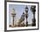 Pont Alexandre-III and Dome des Invalides-Rudy Sulgan-Framed Photographic Print