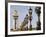 Pont Alexandre-III and Dome des Invalides-Rudy Sulgan-Framed Photographic Print