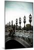 Pont Alexandre III-Erin Berzel-Mounted Photographic Print