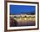 Pont Neuf at twilight-Rudy Sulgan-Framed Photographic Print