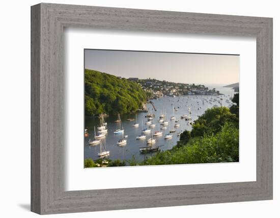 Pont Pill, Polruan and the Fowey Estuary from Hall Walk Near Bodinnick, Cornwall, England. Summer-Adam Burton-Framed Photographic Print