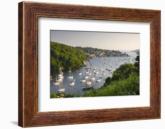 Pont Pill, Polruan and the Fowey Estuary from Hall Walk Near Bodinnick, Cornwall, England. Summer-Adam Burton-Framed Photographic Print