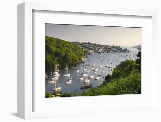 Pont Pill, Polruan and the Fowey Estuary from Hall Walk Near Bodinnick, Cornwall, England. Summer-Adam Burton-Framed Photographic Print