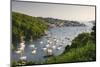 Pont Pill, Polruan and the Fowey Estuary from Hall Walk Near Bodinnick, Cornwall, England. Summer-Adam Burton-Mounted Photographic Print