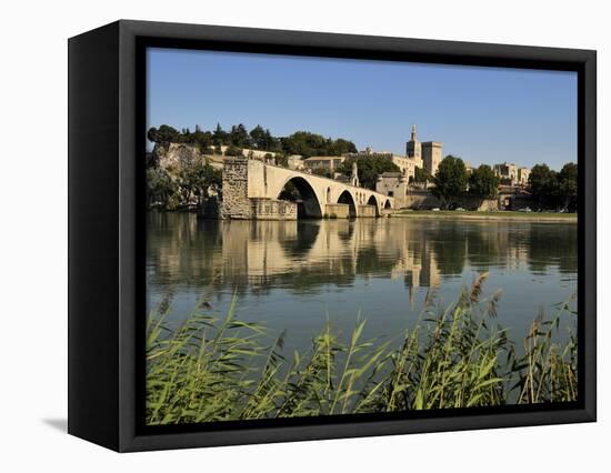 Pont Saint-Benezet and Avignon City Viewed from across the River Rhone, Avignon, Provence, France, -Peter Richardson-Framed Premier Image Canvas