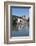 Pont St. Benezet, France-Martin Child-Framed Photographic Print