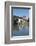 Pont St. Benezet, France-Martin Child-Framed Photographic Print