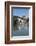 Pont St. Benezet, France-Martin Child-Framed Photographic Print