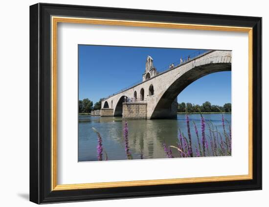 Pont St. Benezet, France-Martin Child-Framed Photographic Print