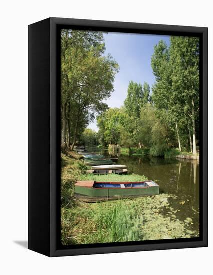 Pont St. Martin, Western Loire, Pays De La Loire, France-Michael Busselle-Framed Premier Image Canvas