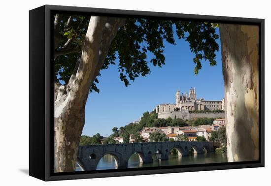 Pont Vieux over the River Orb with St. Nazaire Cathedral in Beziers, Languedoc-Roussillon, France-Martin Child-Framed Premier Image Canvas