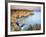 Ponta Da Piedade, Lagos, Algarve, Portugal-Michele Falzone-Framed Photographic Print