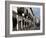 Ponta Delgada, Sao Miguel Island, Azores, Portugal, Europe-De Mann Jean-Pierre-Framed Photographic Print