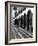 Ponta Delgada, Sao Miguel Island, Azores, Portugal, Europe-De Mann Jean-Pierre-Framed Photographic Print