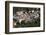 Ponta do Sol, Madeira, Portugal-David Santiago Garcia-Framed Photographic Print