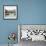 Ponte Rialto con Gondolas-Alan Blaustein-Framed Photographic Print displayed on a wall